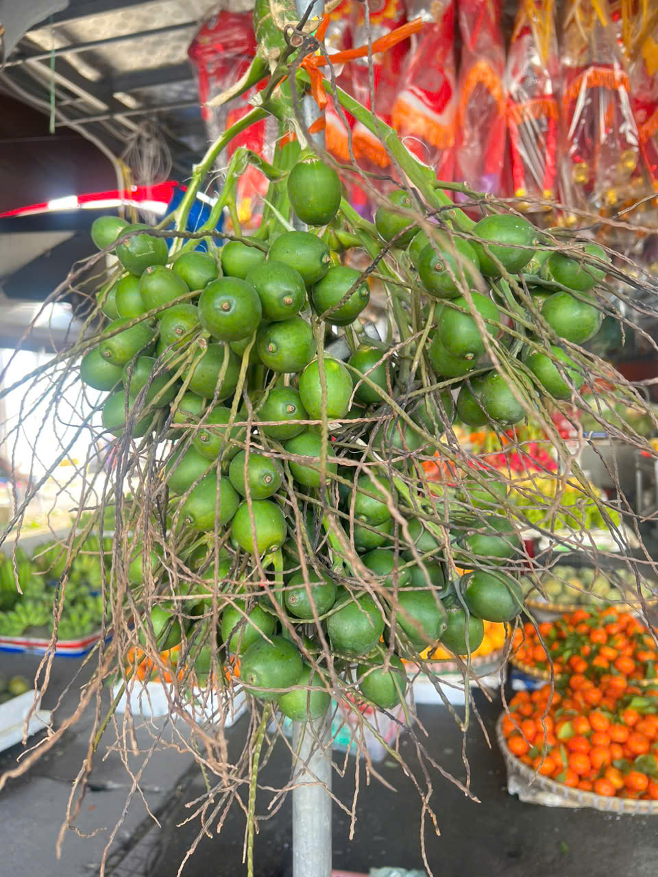 HKD Nguyễn Thị Hoa - 0379867758