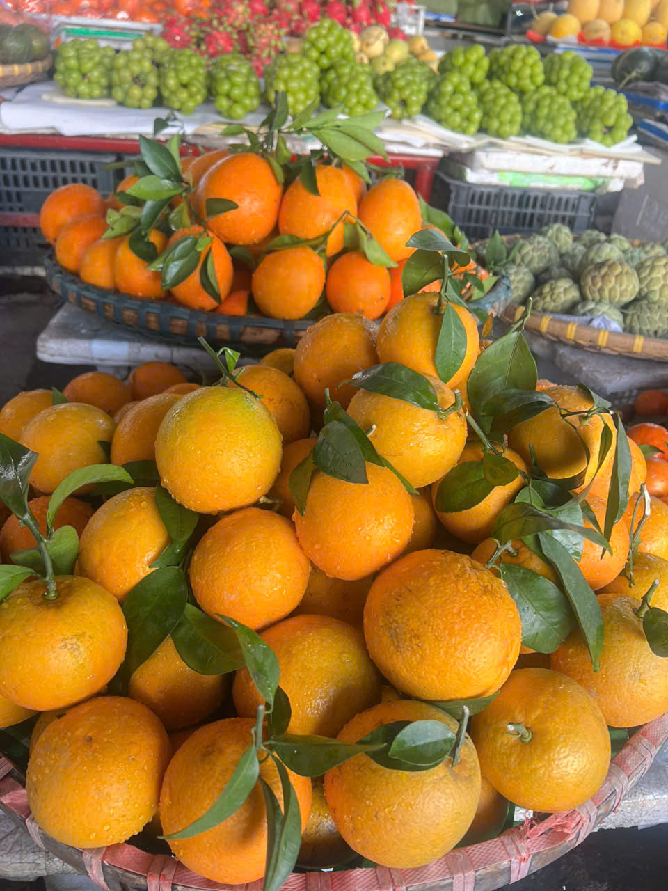 HKD Nguyễn Thị Hoa - 0379867758