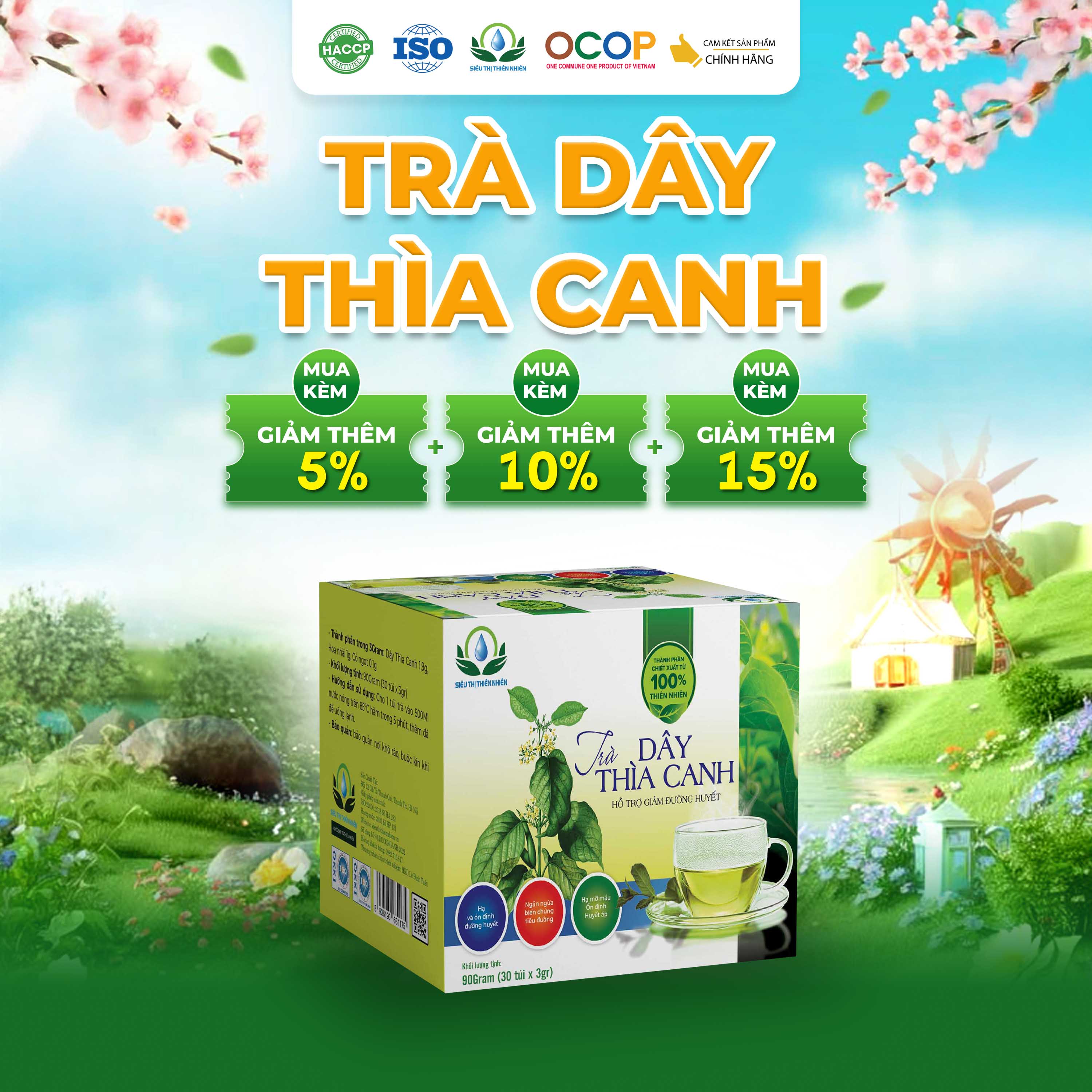 Trà Dây thìa canh