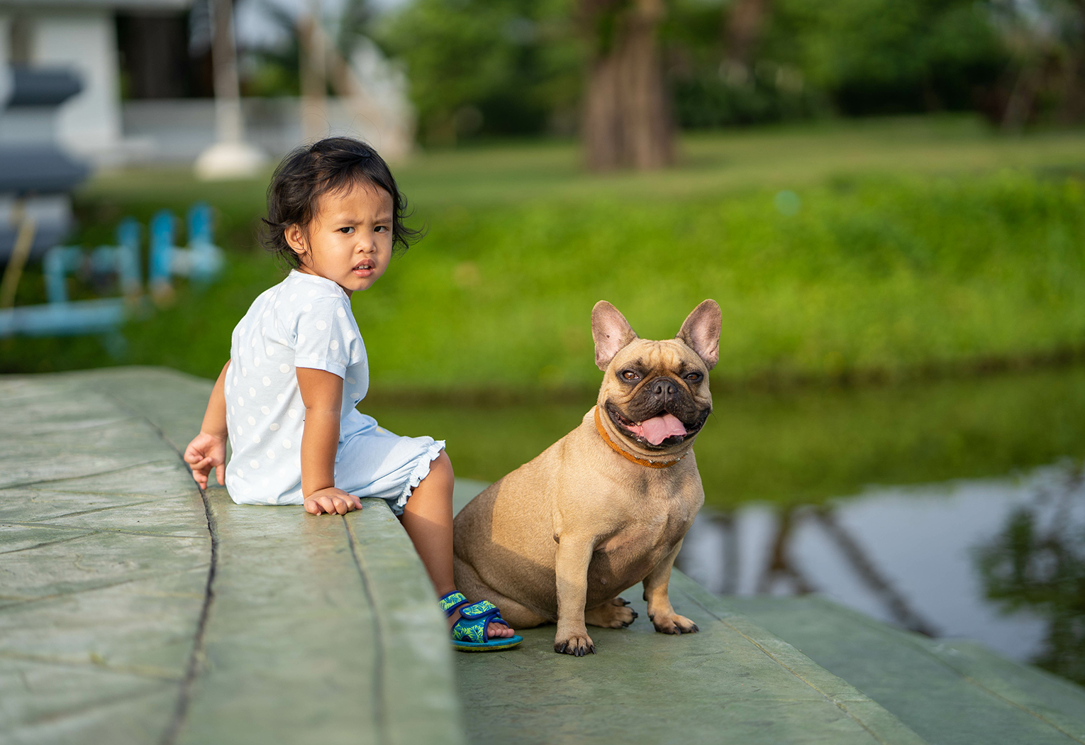 Thú cưng và trẻ em
