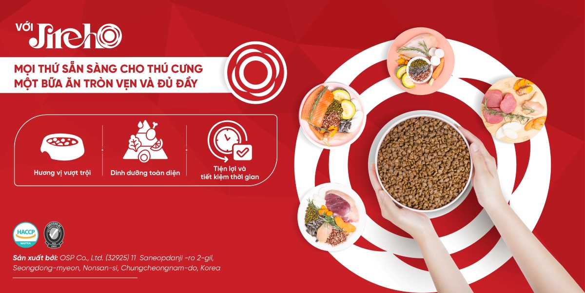 Niềm tin JirehO
