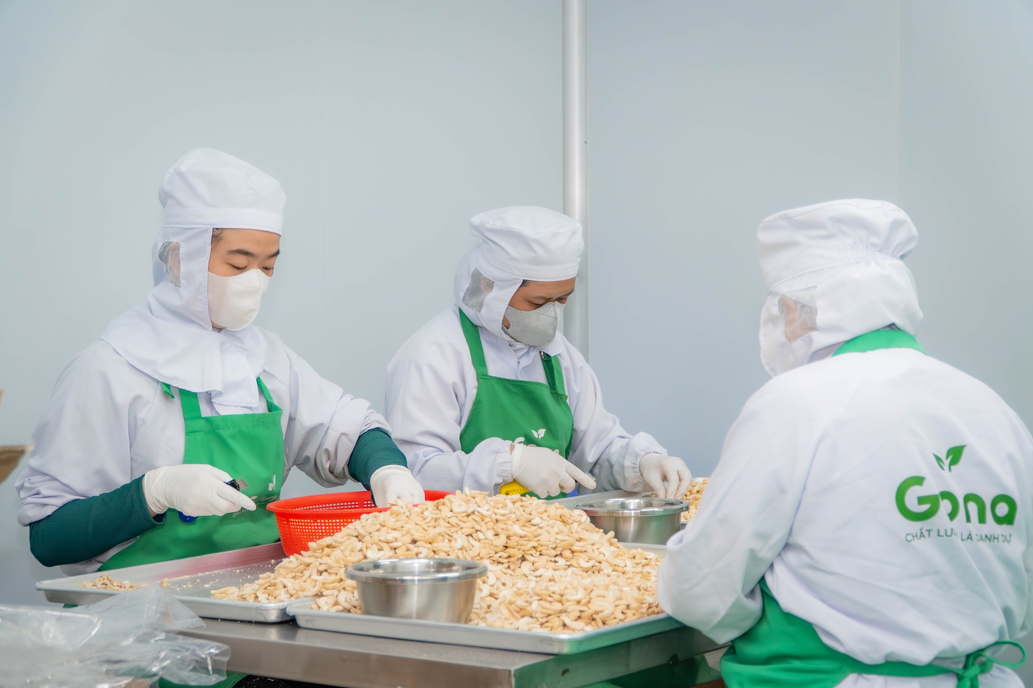 [Re-up] GIỌT NẮNG: TỪ NGUYÊN LIỆU ĐẾN THỊ TRƯỜNG, MỖI BƯỚC ĐỀU LÀ MỘT LỰA CHỌN