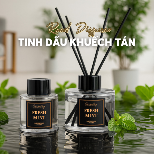 Bộ Sưu tập mùa hạ