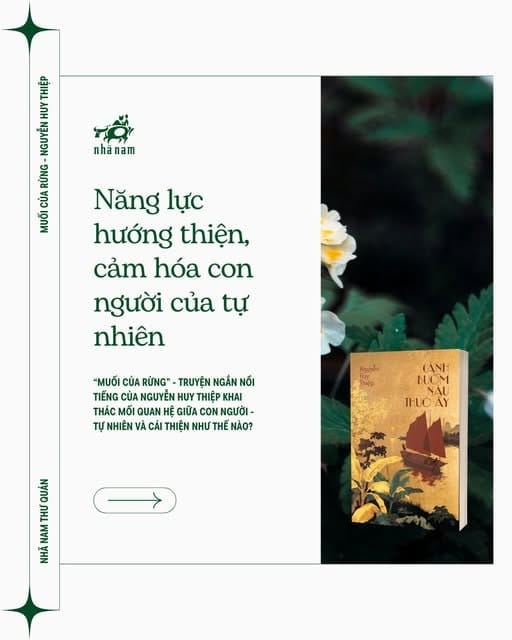 MUỐI CỦA RỪNG - NĂNG LỰC HƯỚNG THIỆN, CẢM HÓA CON NGƯỜI CỦA TỰ NHIÊN