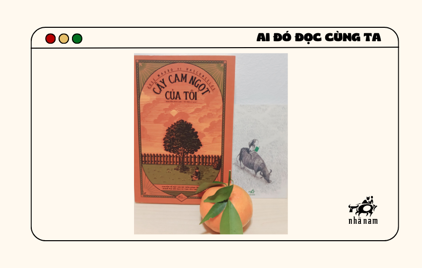 MS554 - Cây cam ngọt của tôi - Trâm