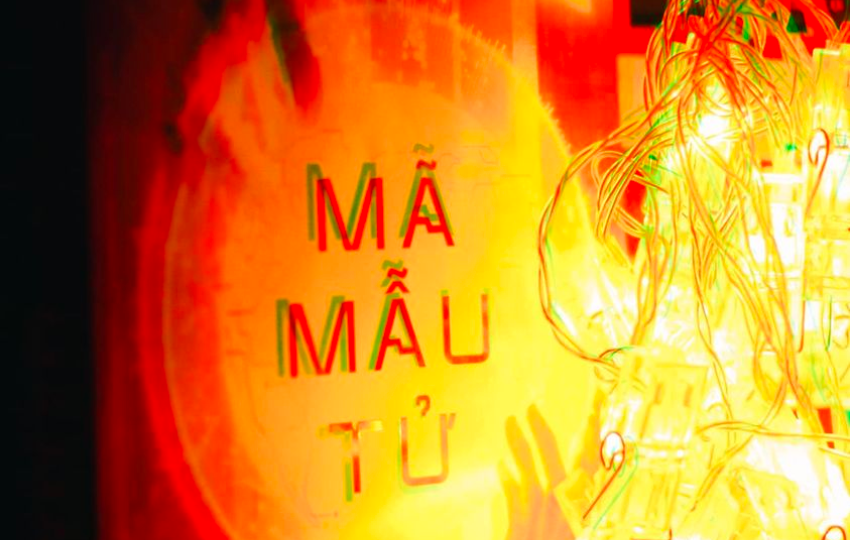 Review sách: MÃ MẪU TỬ - Carole Stivers