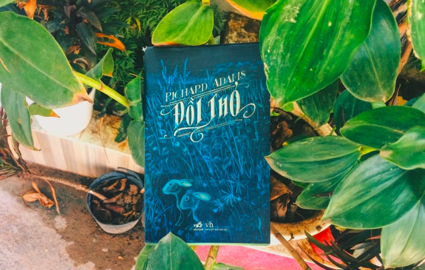 Review sách: ĐỒI THỎ – Richard Adams