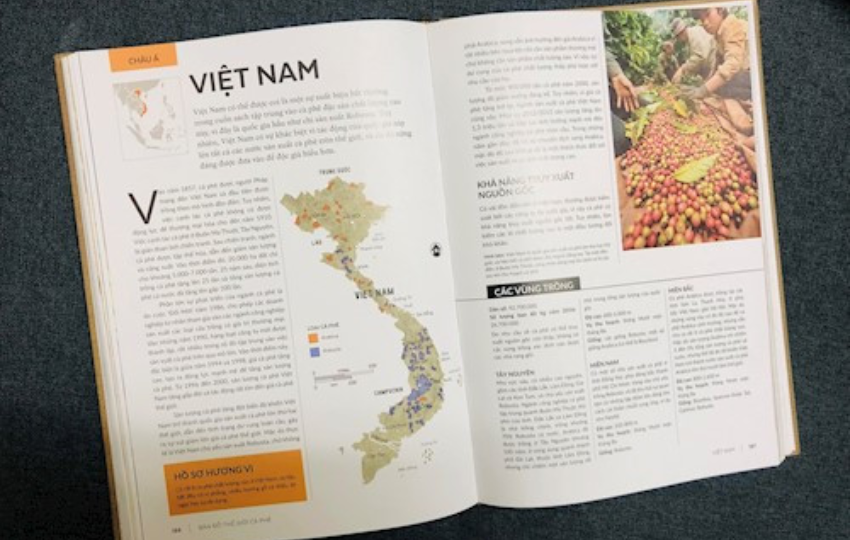 Bản đồ cà phê đặc sản cho cộng đồng “mê” cà phê