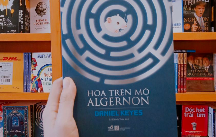 Review sách: HOA TRÊN MỘ ALGERNON – Daniel Keyes