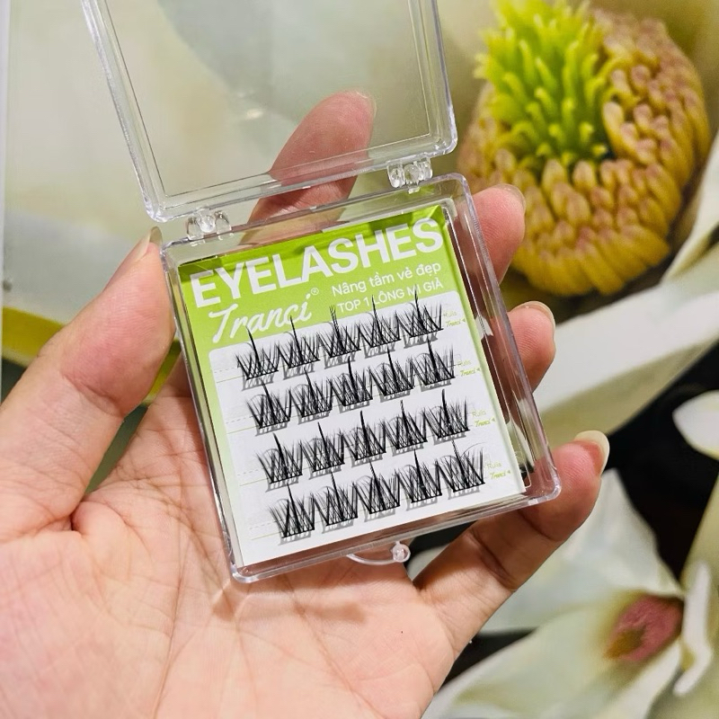 Lông Mi Giả chùm Tranci siêu đẹp kết sợi đều, lông mi cụm tự nhiên makeup chuyên nghiệp
