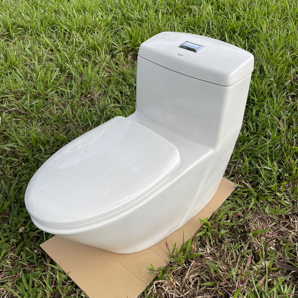 Bồn cầu 1 khối dòng Projectline GROHE 39316000