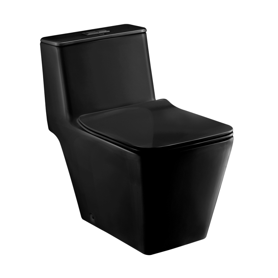 Bồn cầu 1 khối COTTO C1032MBK nắp êm dòng Simply Modish