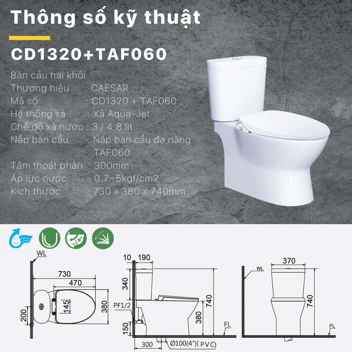 Bồn cầu 2 khối nắp rửa cơ Caesar CD1320 + TAF060