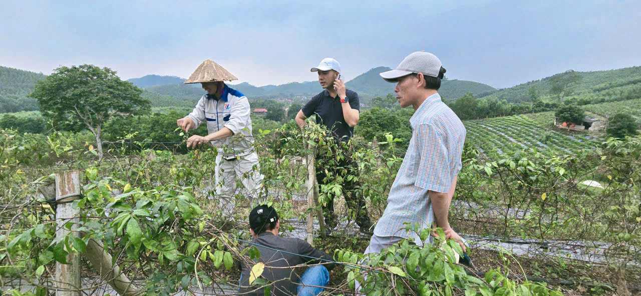 Trồng & Cung Ứng Dược Liệu Hữu Cơ Chuẩn GACP-WHO