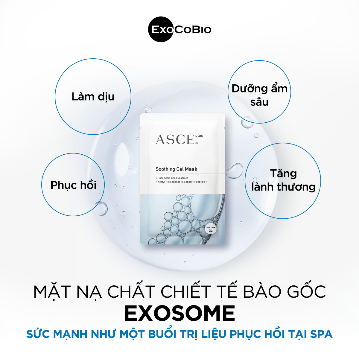 Mặt Nạ Asce Hộp 3 Miếng (Cty)
