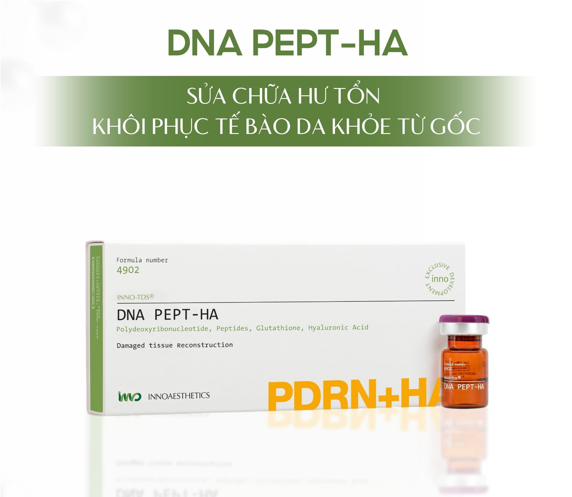 Inno (4902) Dna Pept-Ha Tái Tạo Da Tươi Trẻ, Căng Mịn 2,5Ml X 4 (Nđ) - Hộp