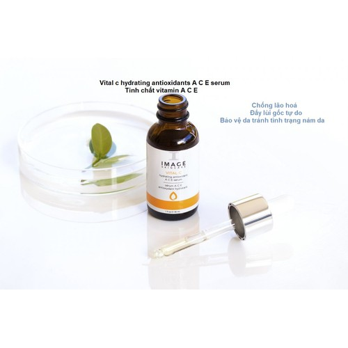Image Vital C Hydrating Antioxidant ACE Serum 30ml (CTY)