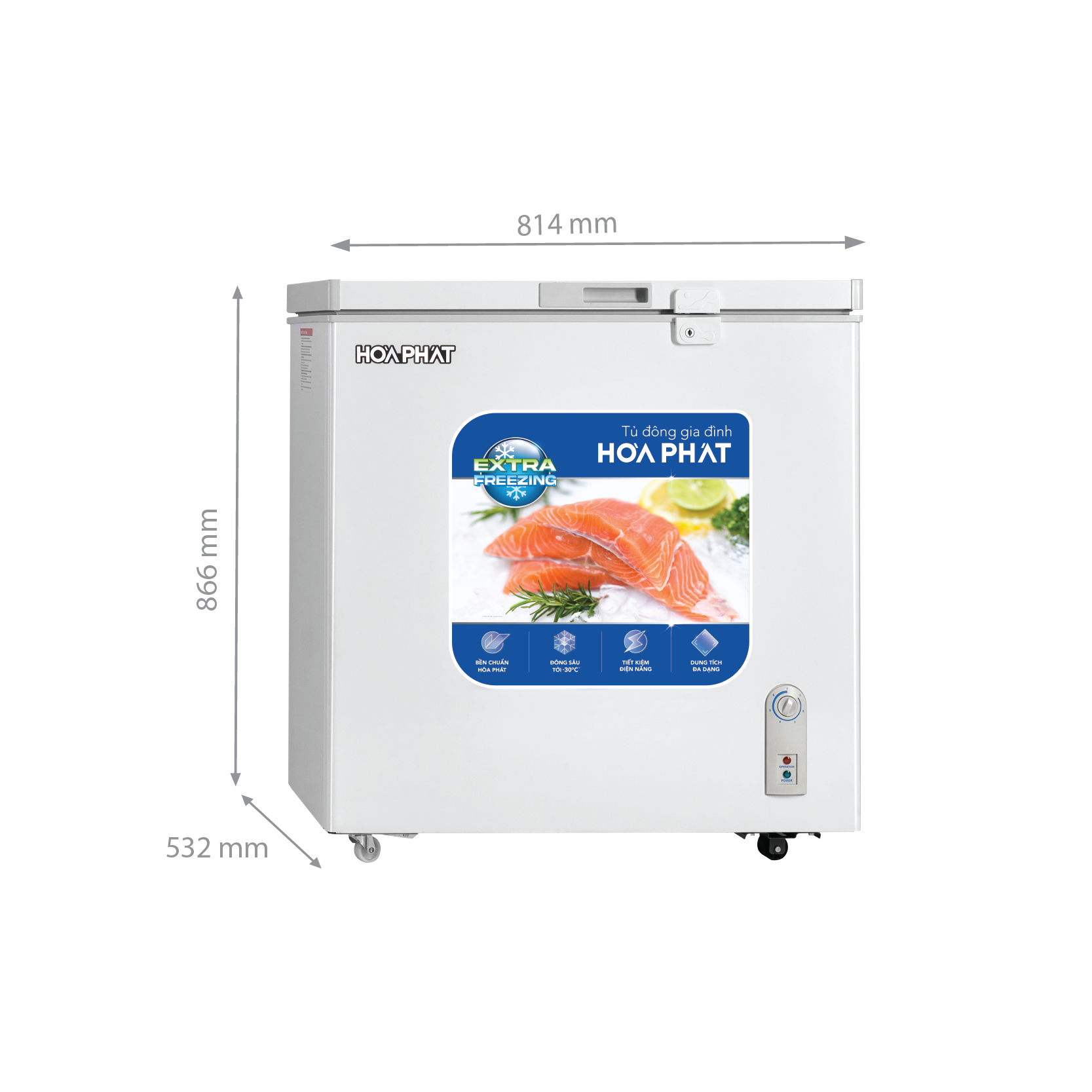 Tủ đông Hòa Phát HPF AN6162 162 lít