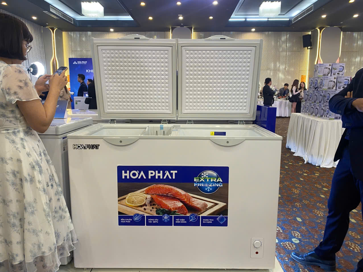 Tủ đông Hòa Phát HPF BD6240 240 lít DÀN ĐỒNG