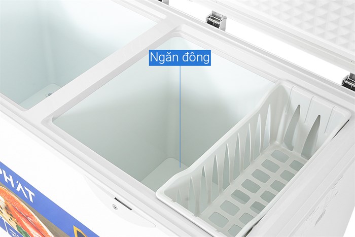 Tủ đông Hòa Phát Inverter HCFI 656S2Đ2 271 lít DÀN ĐỒNG