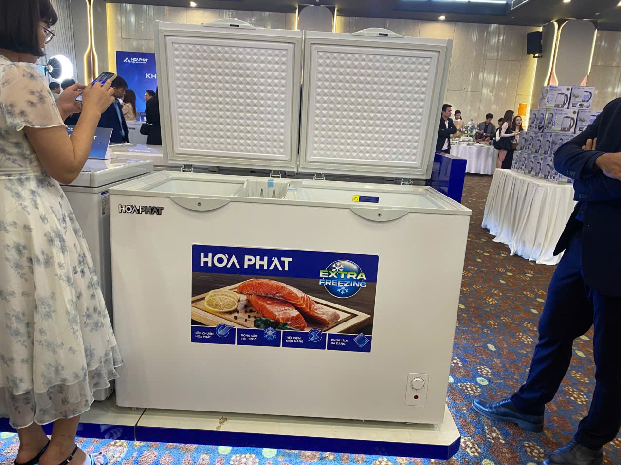 Tủ đông Hòa Phát HPF BD6240 240 lít DÀN ĐỒNG