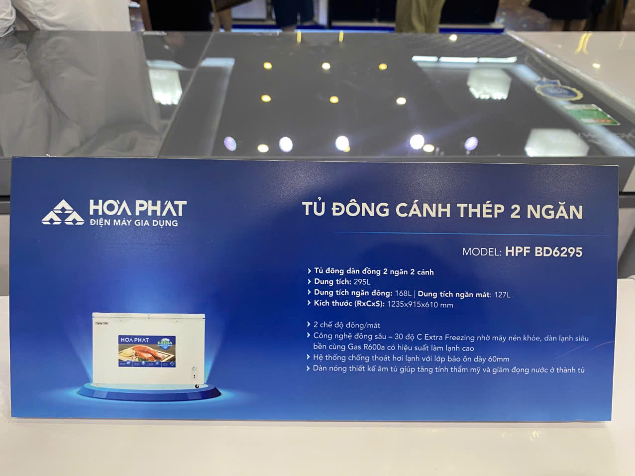 Tủ đông Hòa Phát HPF BD6295 295 lít DÀN ĐỒNG