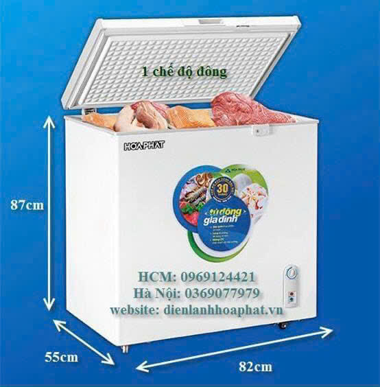 Tủ đông Hòa Phát HPF AN6162 162 lít