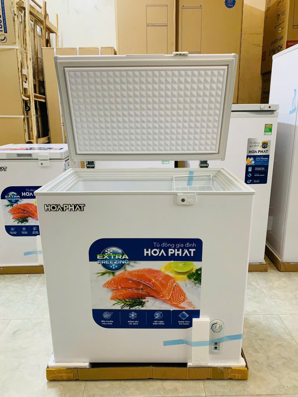 Tủ đông Hòa Phát HPF AN6162 162 lít