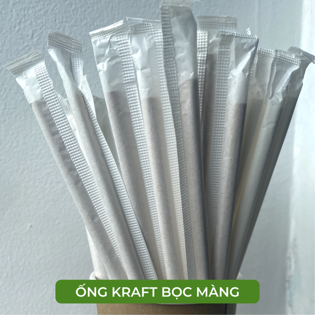 Giá sỉ thùng 1000 Ống hút giấy size 6,7,8 Biogreen -Màu trắng, nâu kraft-Bọc màng và Không bọc màng