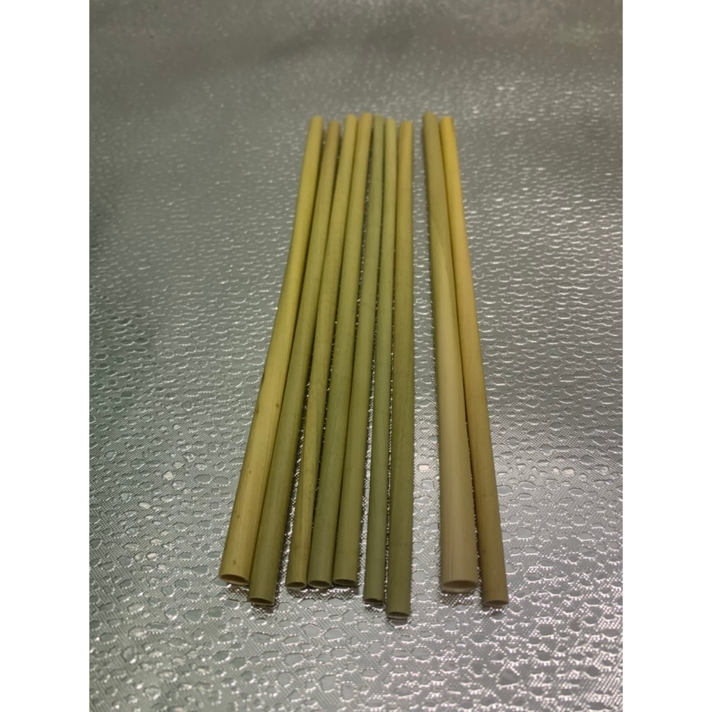 100 ống hút cỏ 6x 20cm không tan trong nước - Dùng được cho tất cả các loại thức uống