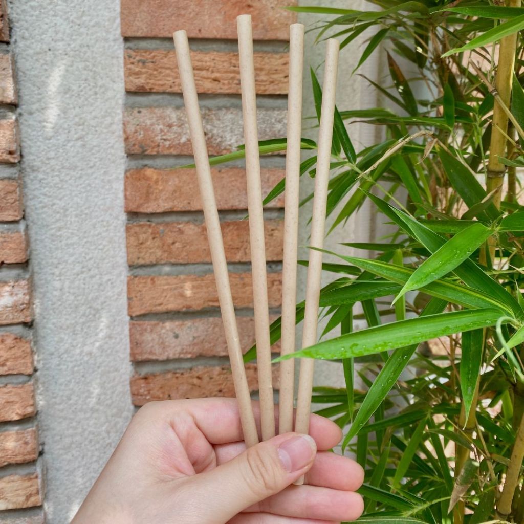 100 PHI 6,8 ỐNG HÚT BÃ MÍA/ VỎ TRẤU KHÔNG PE - không tan trong nước thân thiện môi trường.