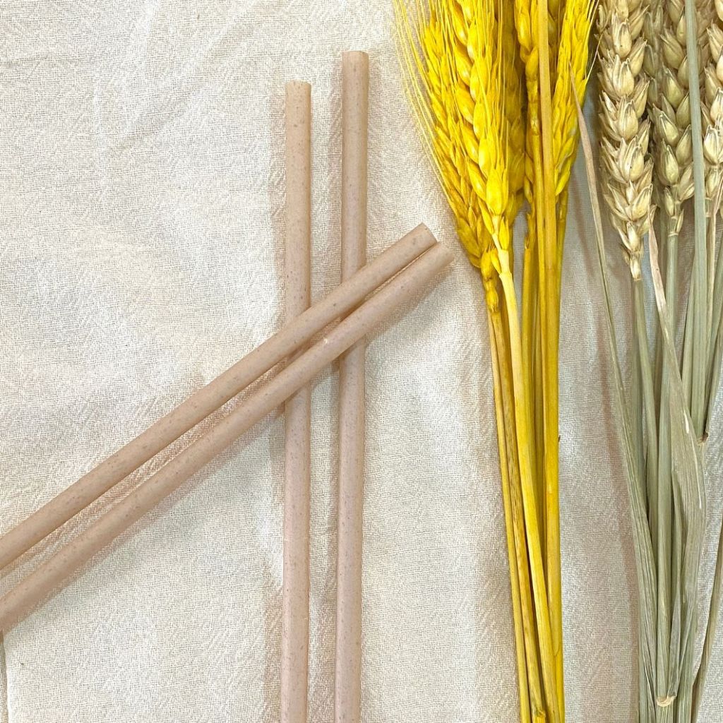 100 PHI 6,8 ỐNG HÚT BÃ MÍA/ VỎ TRẤU KHÔNG PE - không tan trong nước thân thiện môi trường.