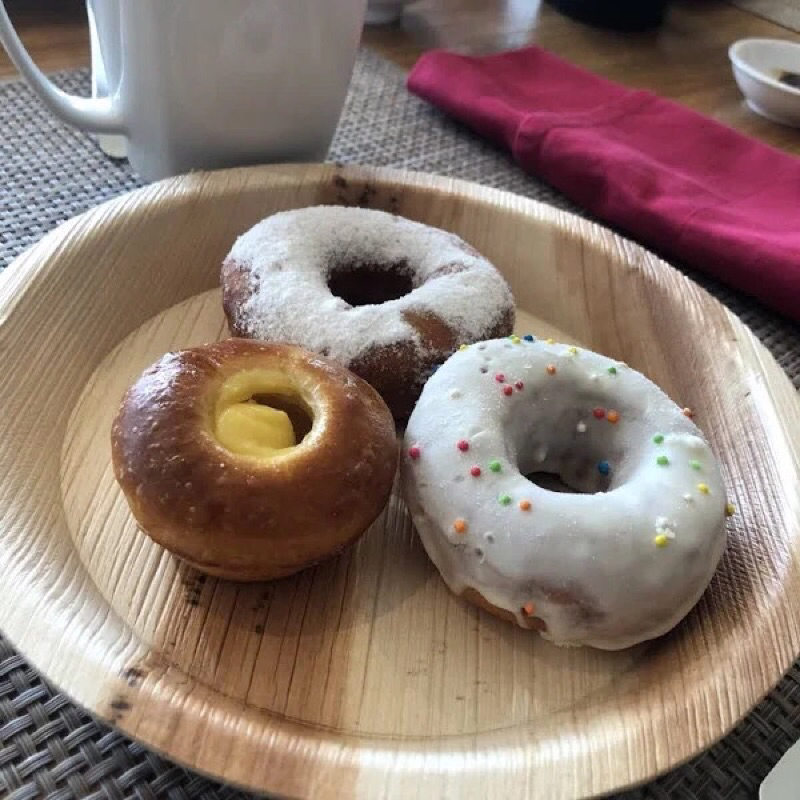 SET 10 ĐĨA MO CAO SIZE 15CM/20CM/25CM ĐỰNG THỨC ĂN, BBQ,.. AN TOÀN SỨC KHỎE BẢO VỆ MÔI TRƯỜNG