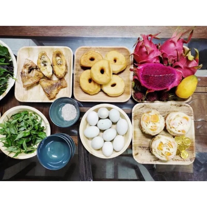 SET 10 ĐĨA MO CAO SIZE 15CM/20CM/25CM ĐỰNG THỨC ĂN, BBQ,.. AN TOÀN SỨC KHỎE BẢO VỆ MÔI TRƯỜNG