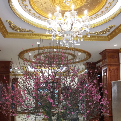 Phào chỉ tạo nét sang trọng và nổi bật cho ngôi nhà bạn