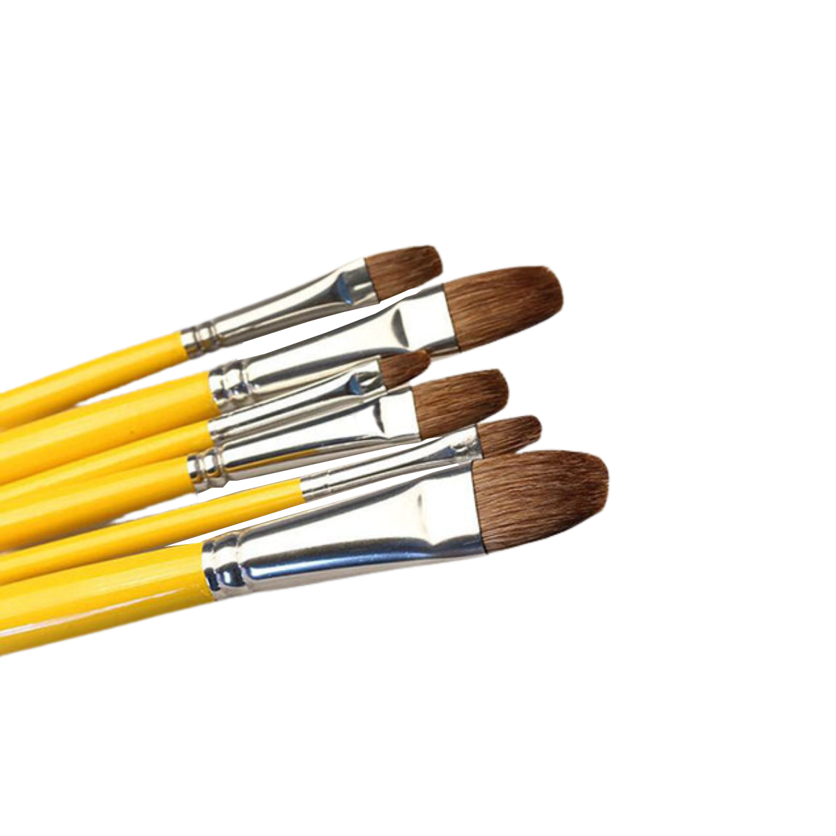 Bút cán vàng bộ 6 cái