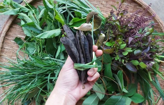 Tại sao bạn nên sử dụng dầu gội thảo dược cho tóc xơ, hư tổn, chẻ ngọn, rụng tóc?