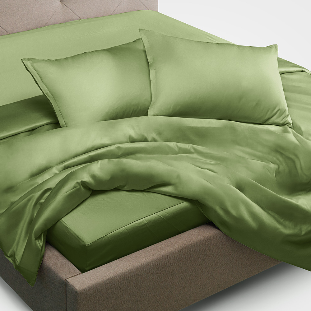 Bộ Chăn Ga Gối 100% Bamboo 300T EBS04