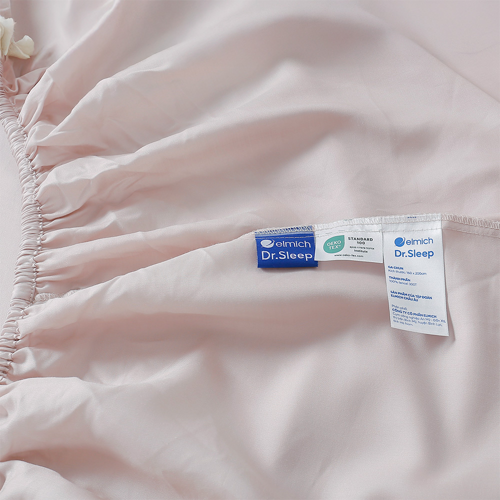 Bộ Ga Gối 100% Tencel 300T ETP04