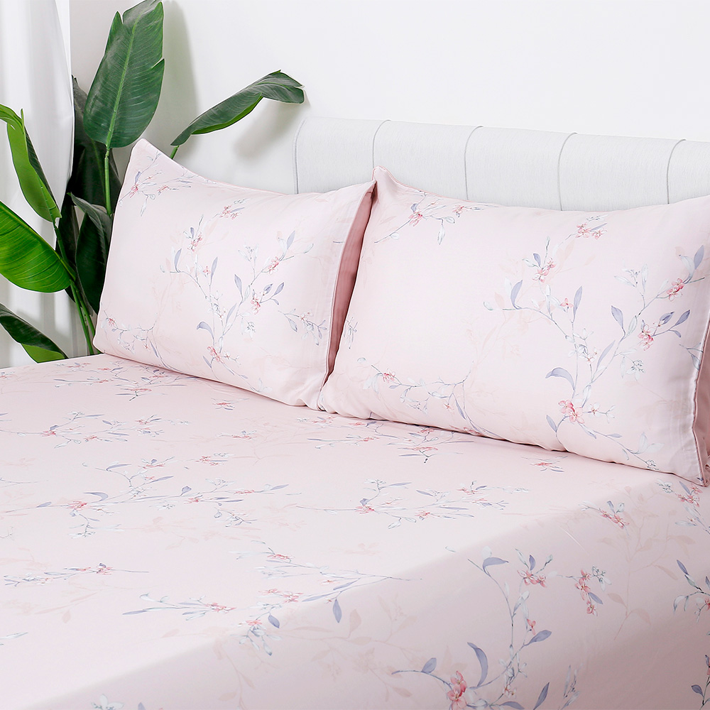 Bộ Ga Gối 100% Tencel 300T ETP07