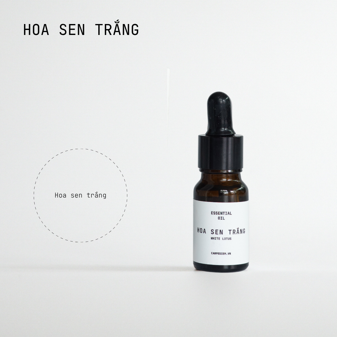 Tinh dầu nước hoa nhỏ giọt - 10ml