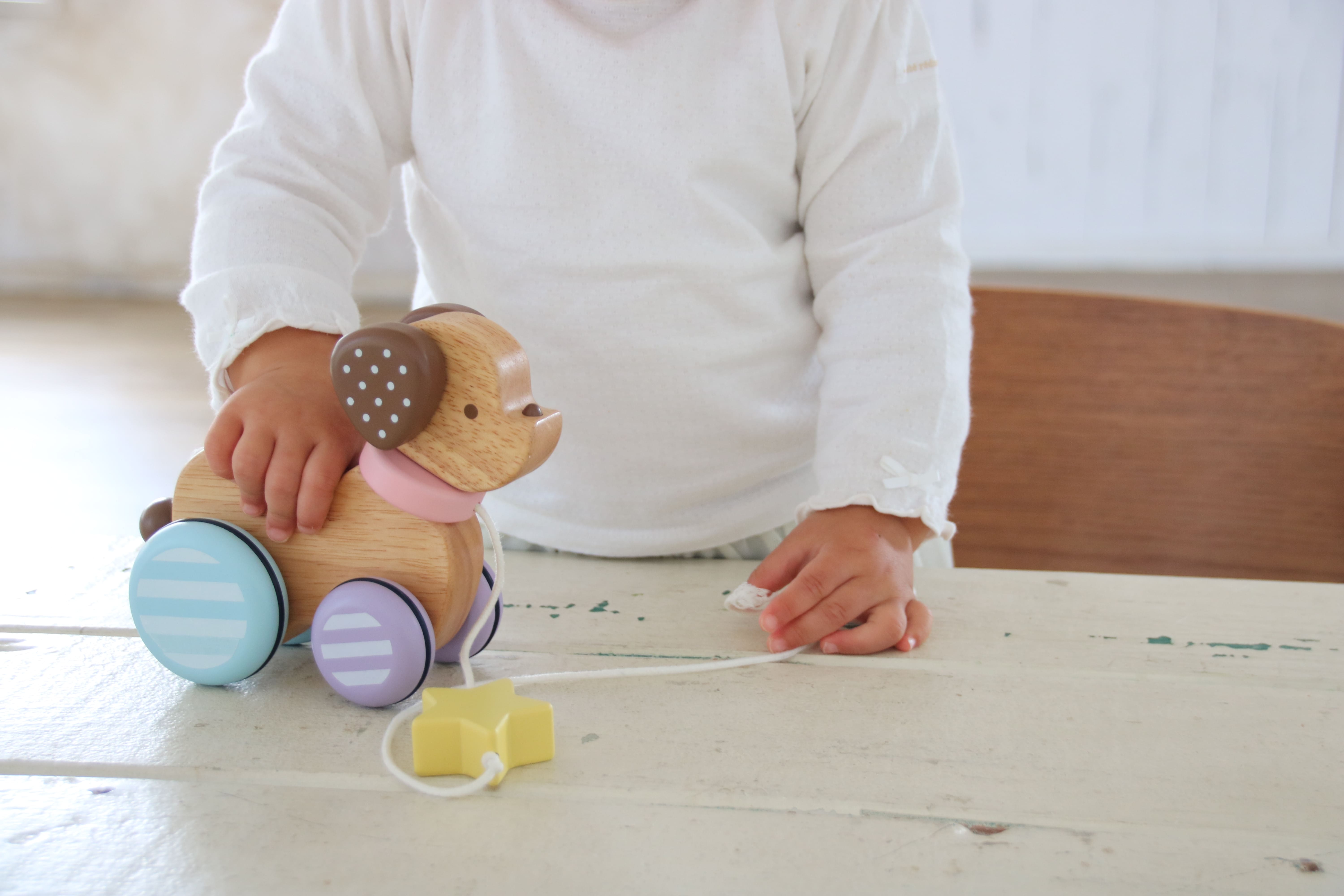 Chú chó gỗ - Candy Puppy