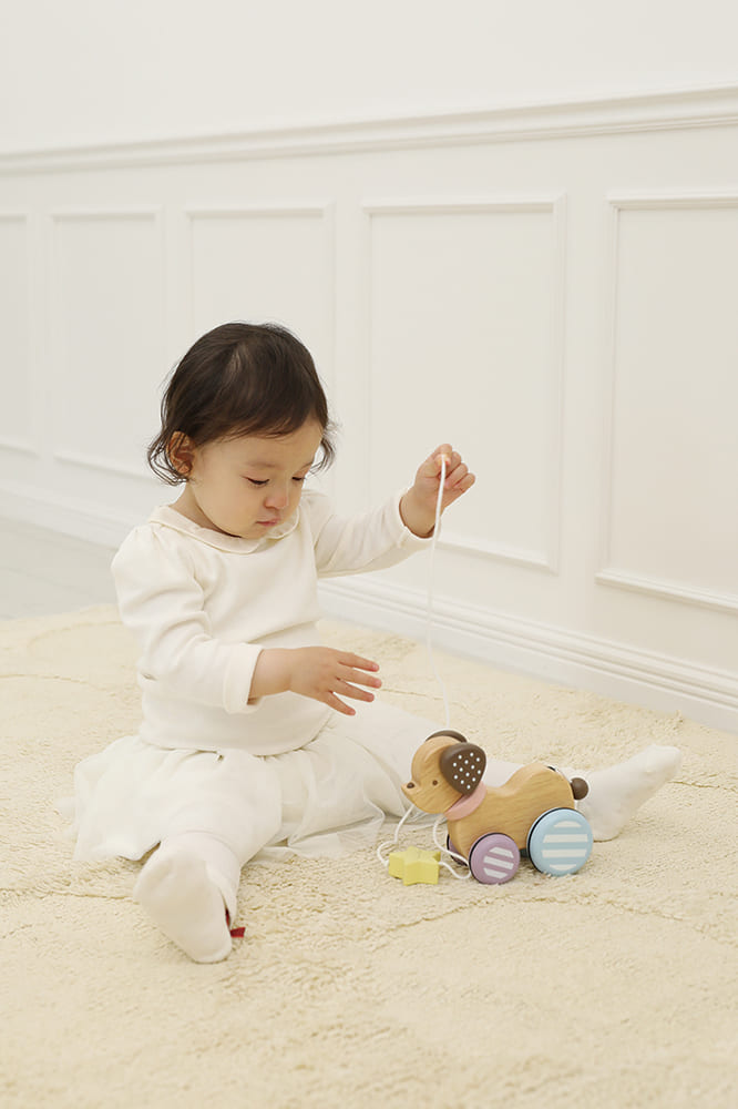 Chú chó gỗ - Candy Puppy