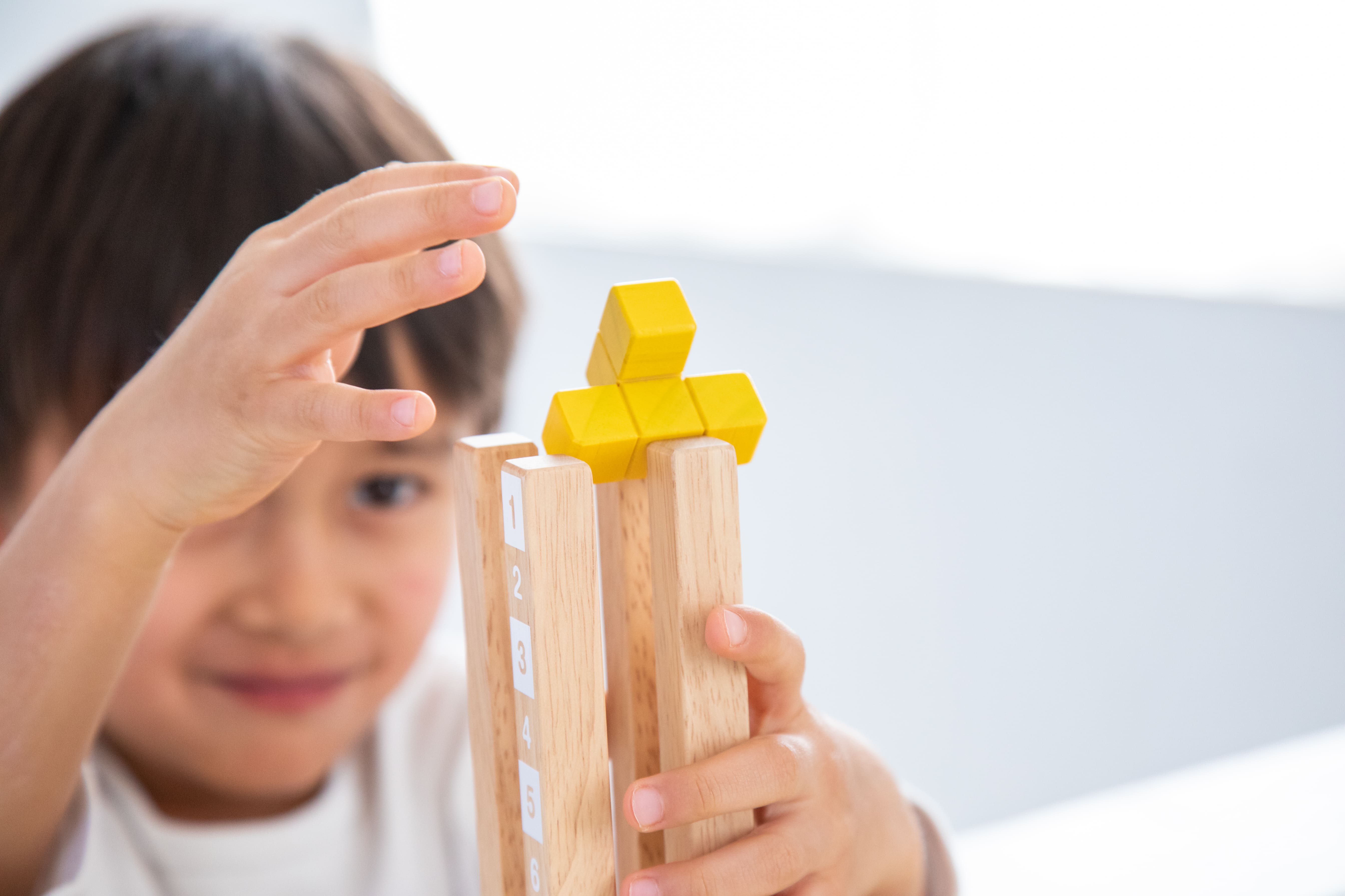 Cho thuê Bộ xếp hình tháp khối gỗ - Packer Stacker