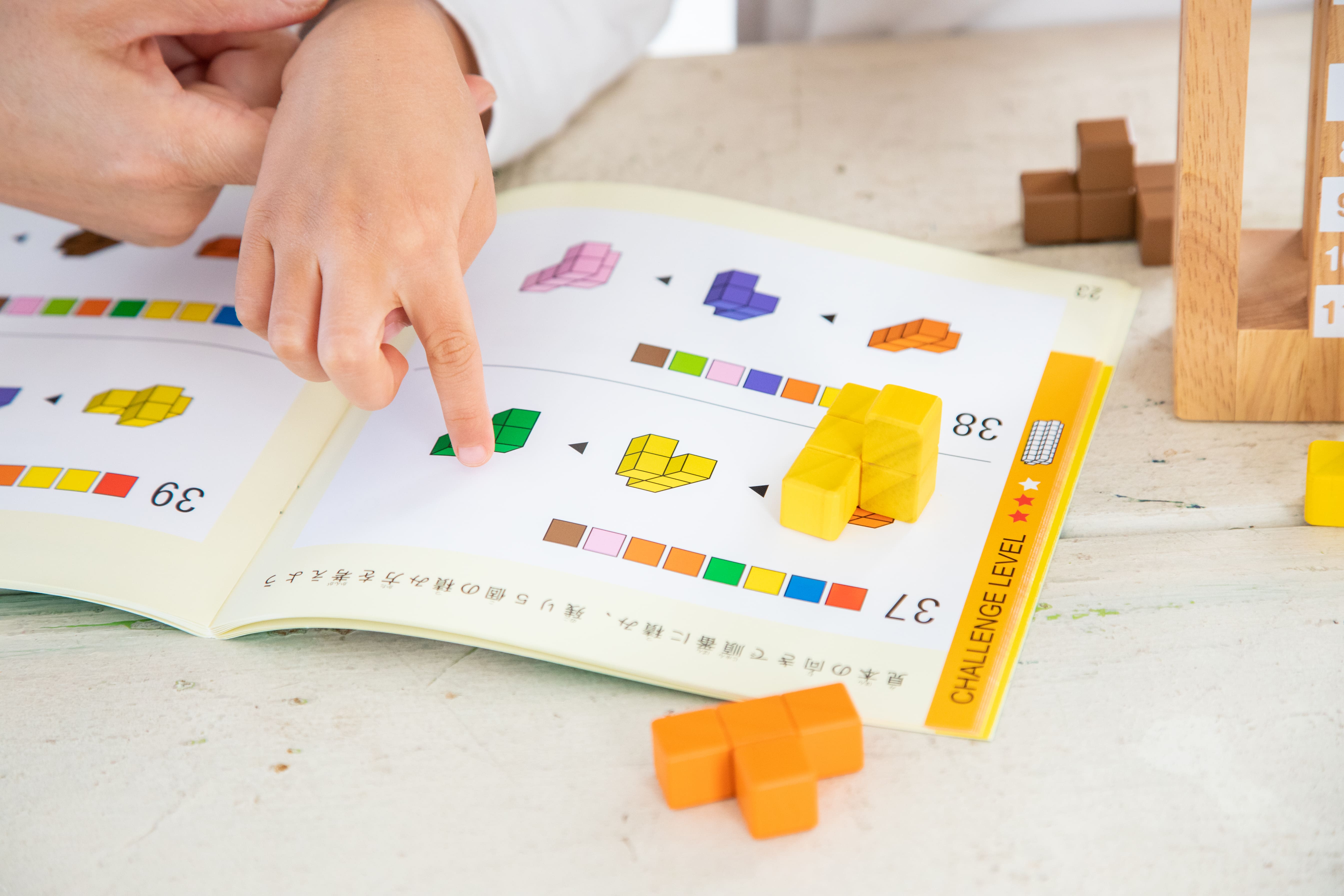 Bộ xếp hình tháp khối gỗ - Packer Stacker