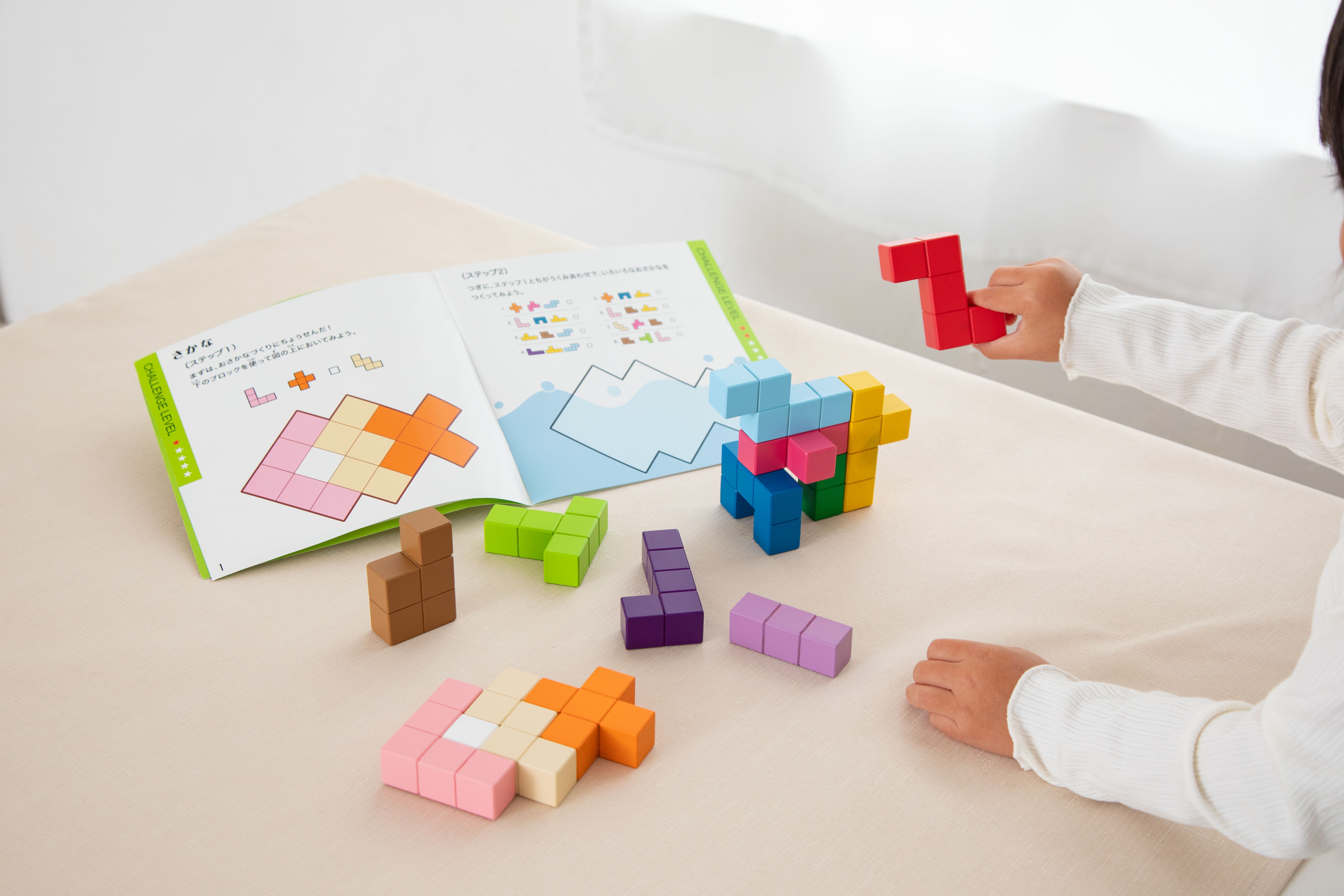 Bộ xếp hình khối 2D và 3D bằng gỗ - Cubic Creation