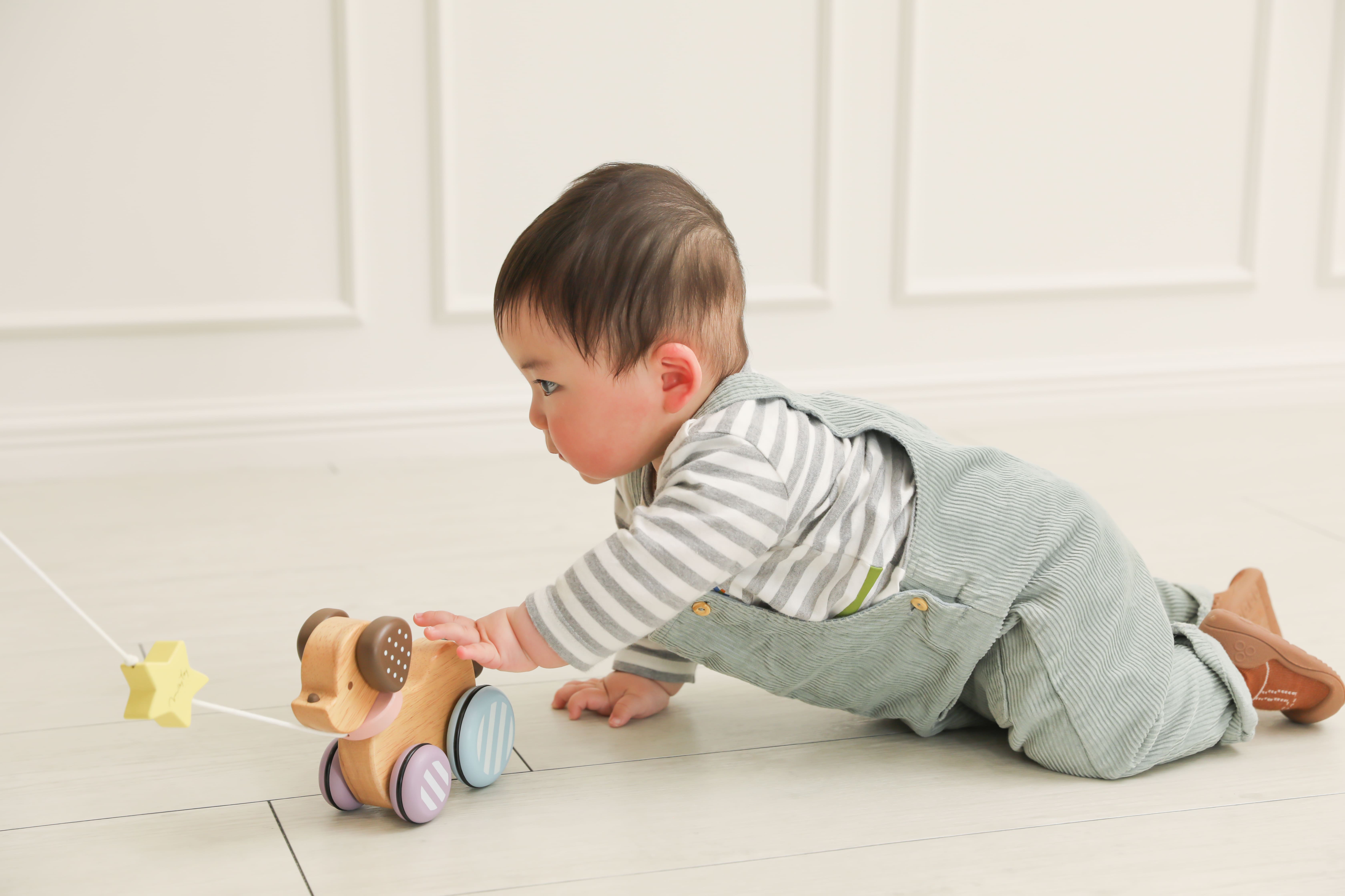 Chú chó gỗ - Candy Puppy