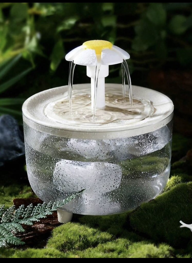 Bình nước tự động hoa cúc trắng