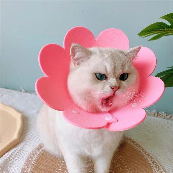 Vòng cổ chống liếm hình bông hoa