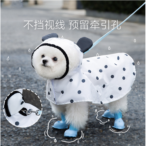 áo mưa chấm bi